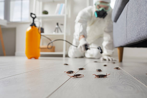 Trusted Termite Control service in Gahanna, OH - Nex Pest Control
